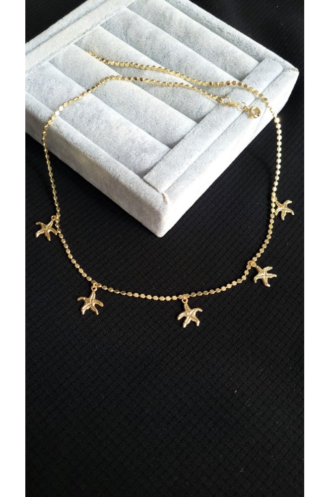 Çelik Deniz yıldızı Detaylı kolye