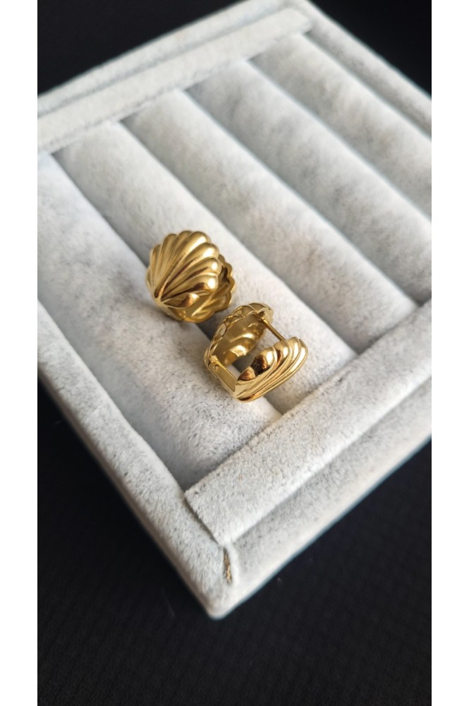 VIP Deniz kabugu küpe